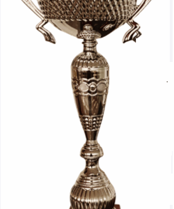 Bronze Helix Prestige_Economy Trophy