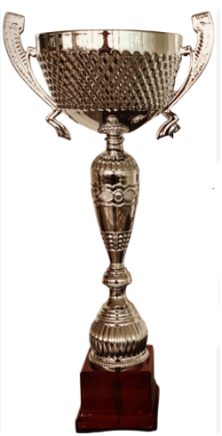 Bronze Helix Prestige_Economy Trophy
