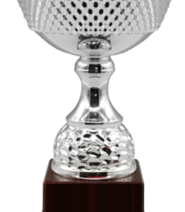 Silver Apex Insalatiere Trophy