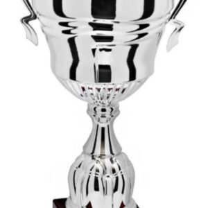 Silver Apex Prestige_Economy Trophy