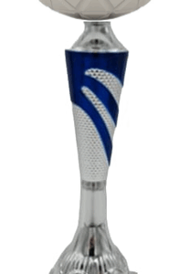 Silver-Blue Horizon Economy Trophy