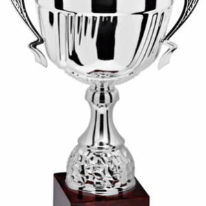 Silver Crest Prestige_Economy Trophy 26