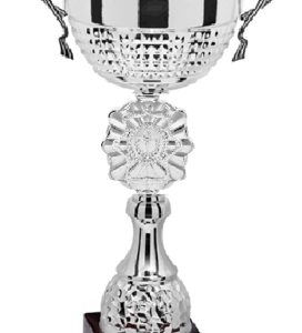Silver Crest Prestige_Economy Trophy