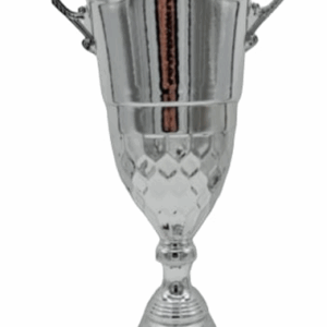 Silver Crown Alzate Trophy