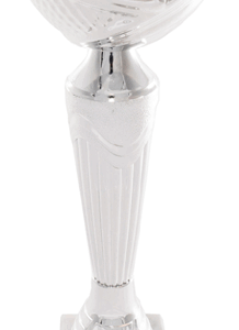 Silver Crown Economy Trophy