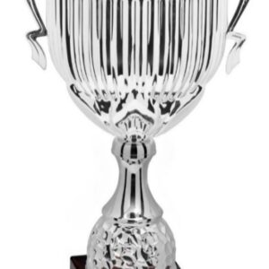 Silver Crown Prestige_Economy Trophy