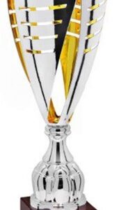 Silver-Gold Crest Laser Trophy