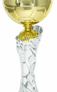 Silver-Gold Crest Soccer Trophy