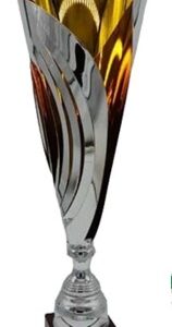 Silver-Gold Crown Laser Trophy