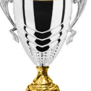Silver-Gold Helix Full_Metal _Luxury Trophy