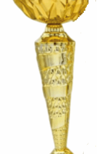 Silver-Gold Horizon Economy Trophy