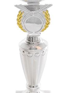 Silver-Gold Horizon Economy Trophy 26