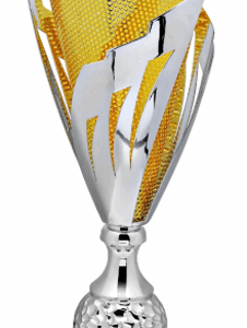 Silver-Gold Horizon Laser Trophy