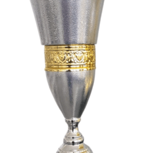 Silver-Gold Horizon Luxury Trophy
