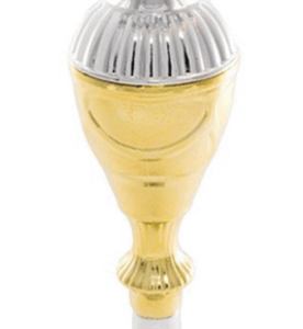Silver-Gold Nova Economy Trophy