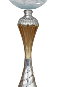 Silver-Gold Prime Economy Trophy