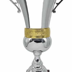Silver-Gold Pulse Luxury Trophy