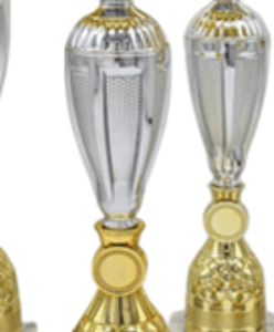 Silver-Gold Regal Economy Trophy