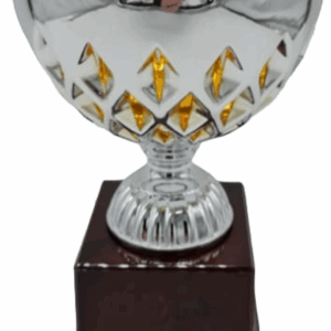Silver-Gold Regal Insalatiere Trophy