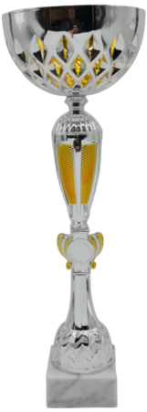 Silver-Gold Titan Economy Trophy