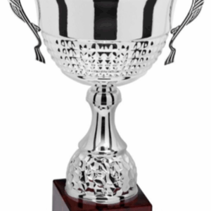 Silver Helix Prestige_Economy Trophy