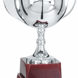 Silver Horizon Classic_Cups Trophy