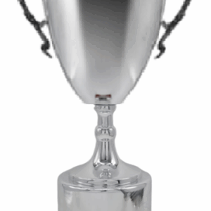 Silver Horizon Luxury Trophy 26