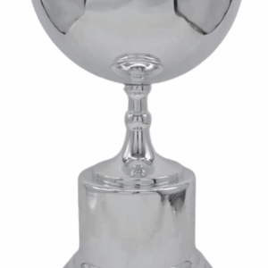 Silver Horizon Luxury Trophy