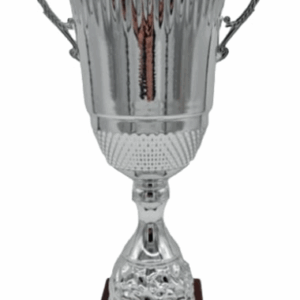 Silver Nova Alzate Trophy