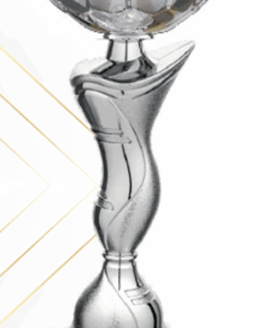 Silver Nova Economy Trophy