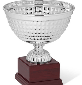 Silver Nova Insalatiere Trophy