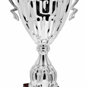 Silver Prime Prestige Trophy 26