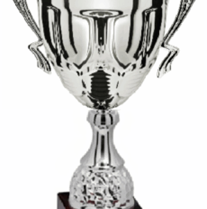 Silver Prime Prestige_Economy Trophy