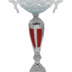 Silver-Red Crown Prestige_Economy Trophy