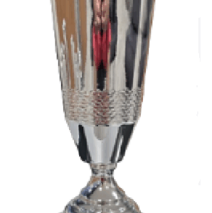 Silver-Red Regal Luxury Trophy