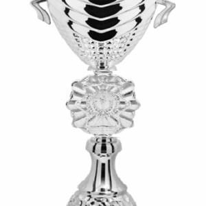 Silver Sterling Prestige_Economy Trophy 26