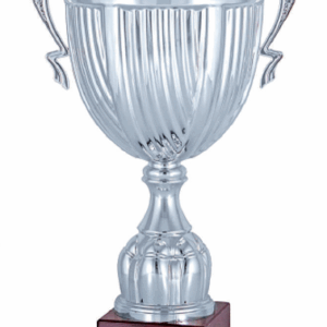 Silver Sterling Prestige_Economy Trophy