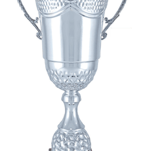 Silver Summit Alzate Trophy