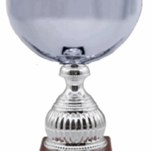 Silver Summit Classic_Cups Trophy 26
