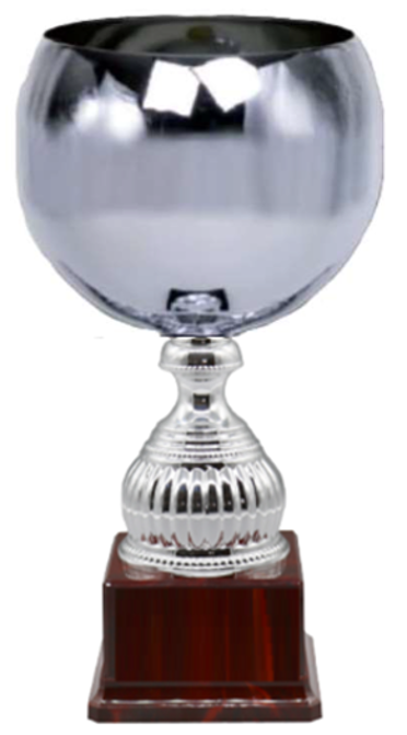 Silver Summit Classic_Cups Trophy 26