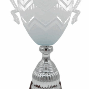 Silver Summit Prestige Trophy 26