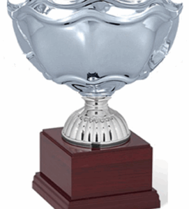 Silver Titan Insalatiere Trophy