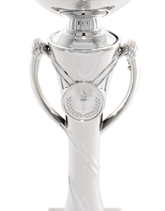 Silver-Tricolor Crest Economy Trophy