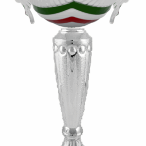 Silver-Tricolor Prime Prestige_Economy Trophy