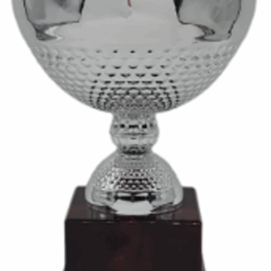 Silver Vertex Insalatiere Trophy