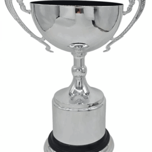Silver Vertex Luxury Trophy 26