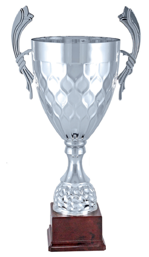 Silver Vertex Prestige Trophy