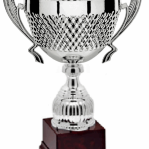 Silver Vertex Prestige_Economy Trophy